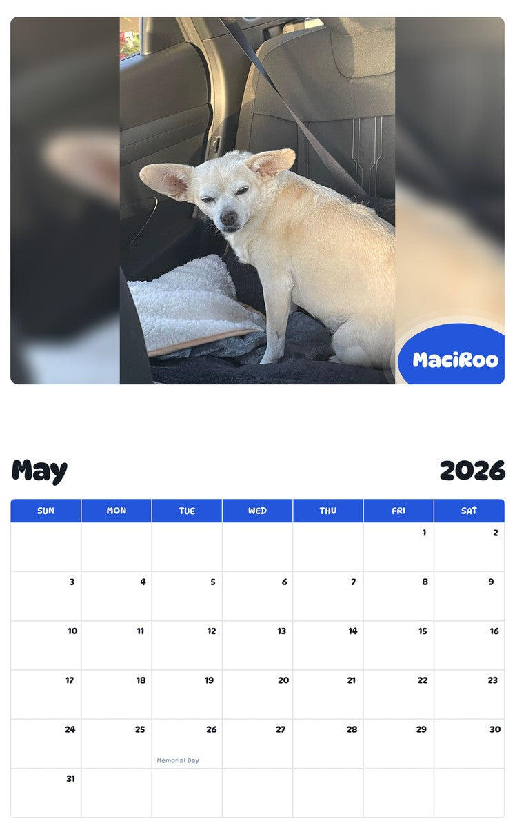 2026 - 2027 MaciRoo - Pawidols Pet Calendar