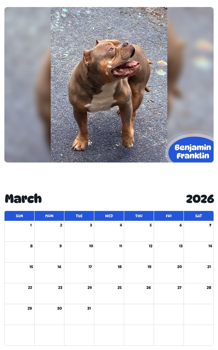 November 2025 - October 2026 Benjamin Franklin - Pawidols Pet Calendar