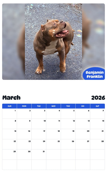 November 2025 - October 2026 Benjamin Franklin - Pawidols Pet Calendar