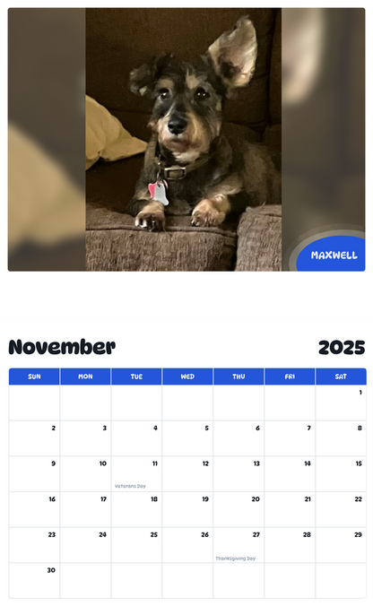 July 2025 - June 2026 Maxwell - Pawidols Pet Calendar