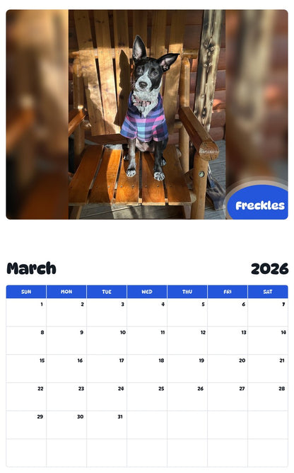 November 2025 - October 2026 Freckles - Pawidols Pet Calendar