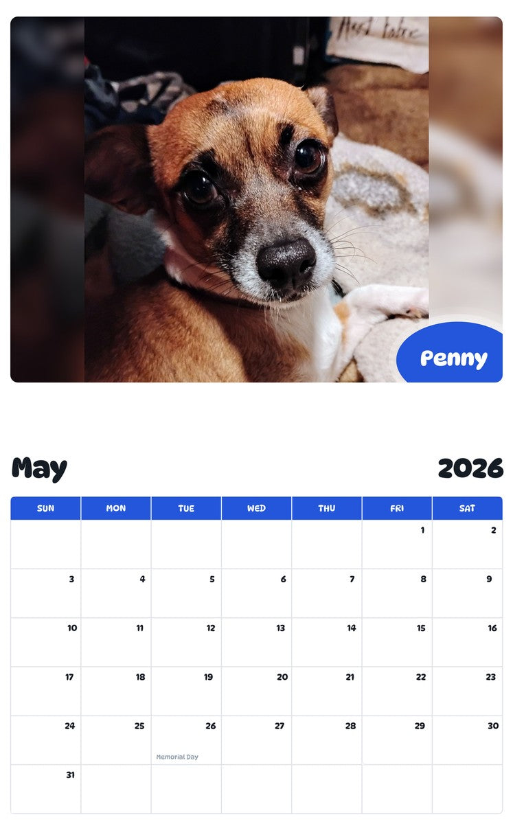 2026 - 2027 Penny - Pawidols Pet Calendar
