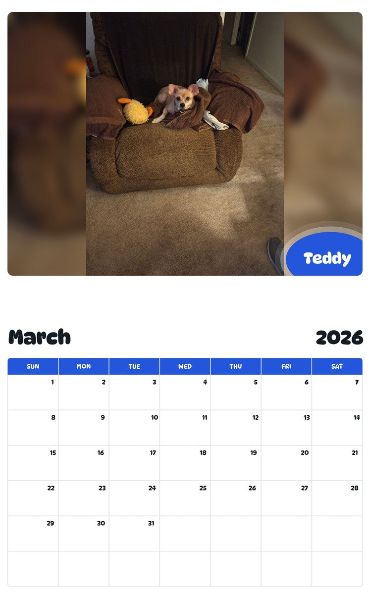 November 2025 - October 2026 Teddy - Pawidols Pet Calendar