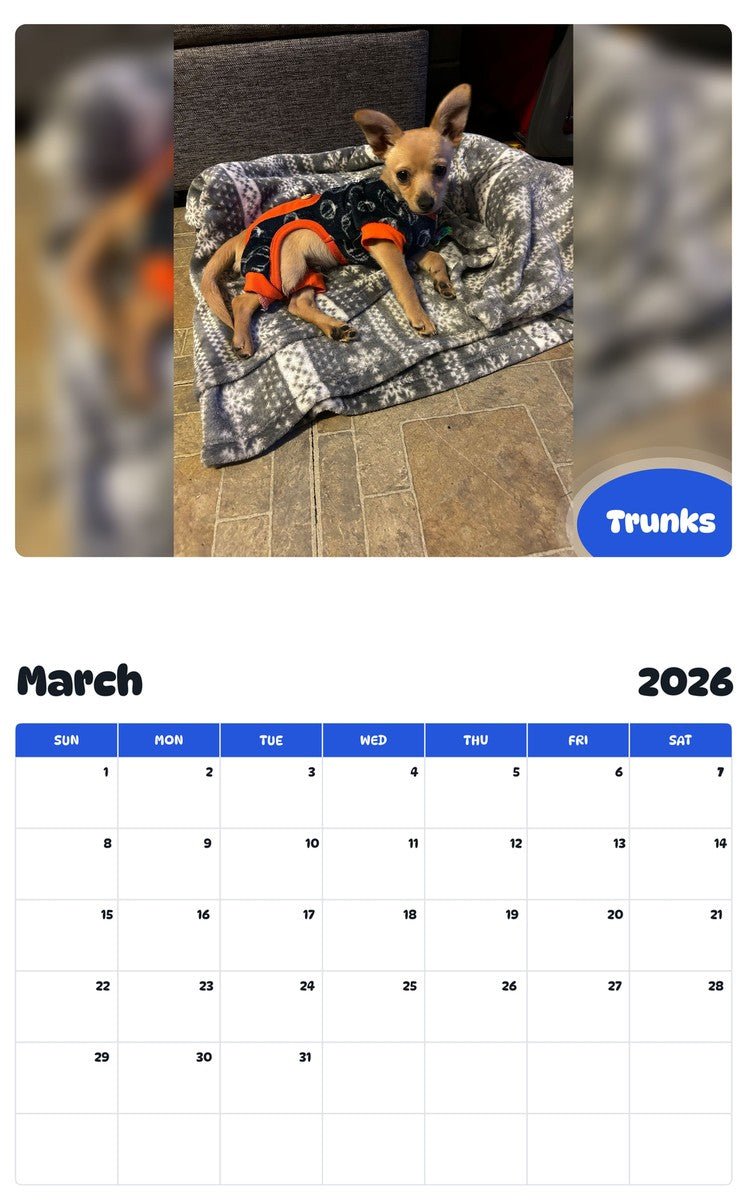 November 2025 - October 2026 Trunks - Pawidols Pet Calendar