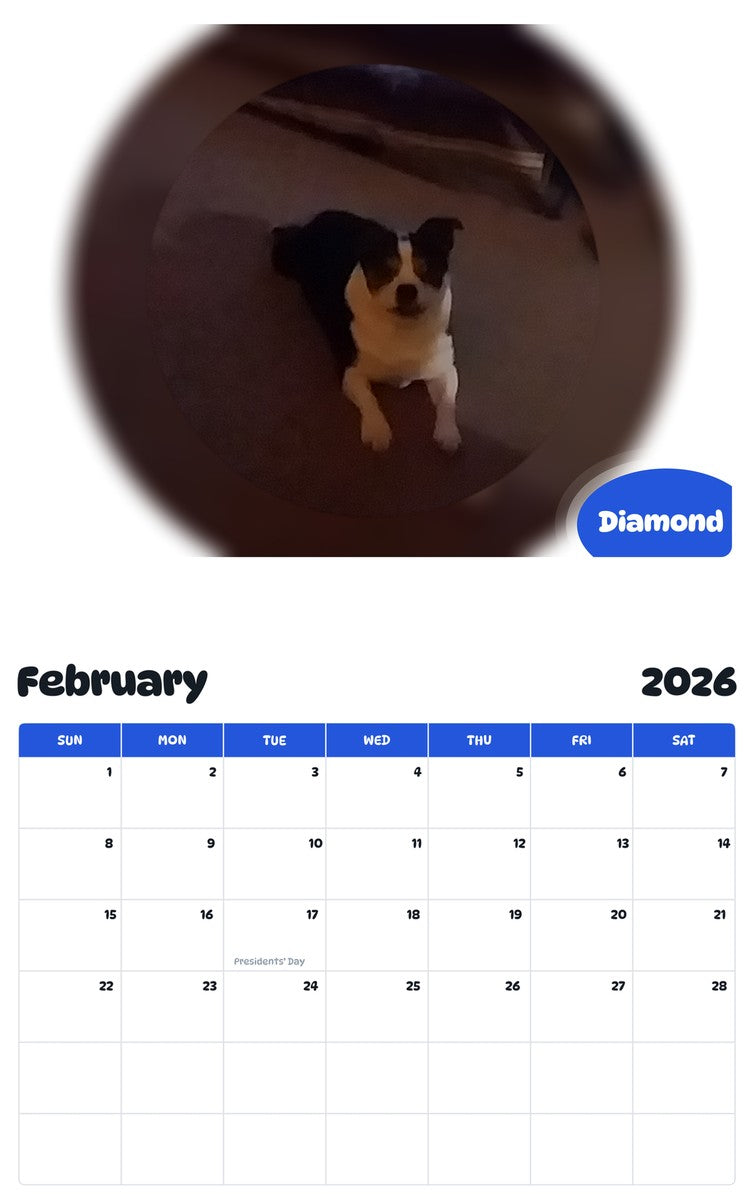 October 2025 - September 2026 Diamond - Pawidols Pet Calendar