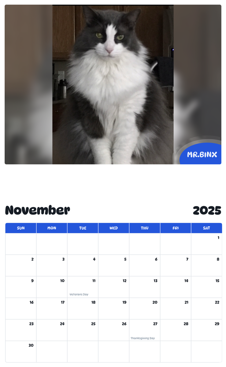 July 2025 - June 2026 Mr.Binx - Pawidols Pet Calendar
