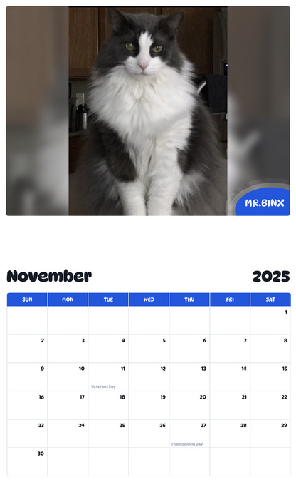 July 2025 - June 2026 Mr.Binx - Pawidols Pet Calendar