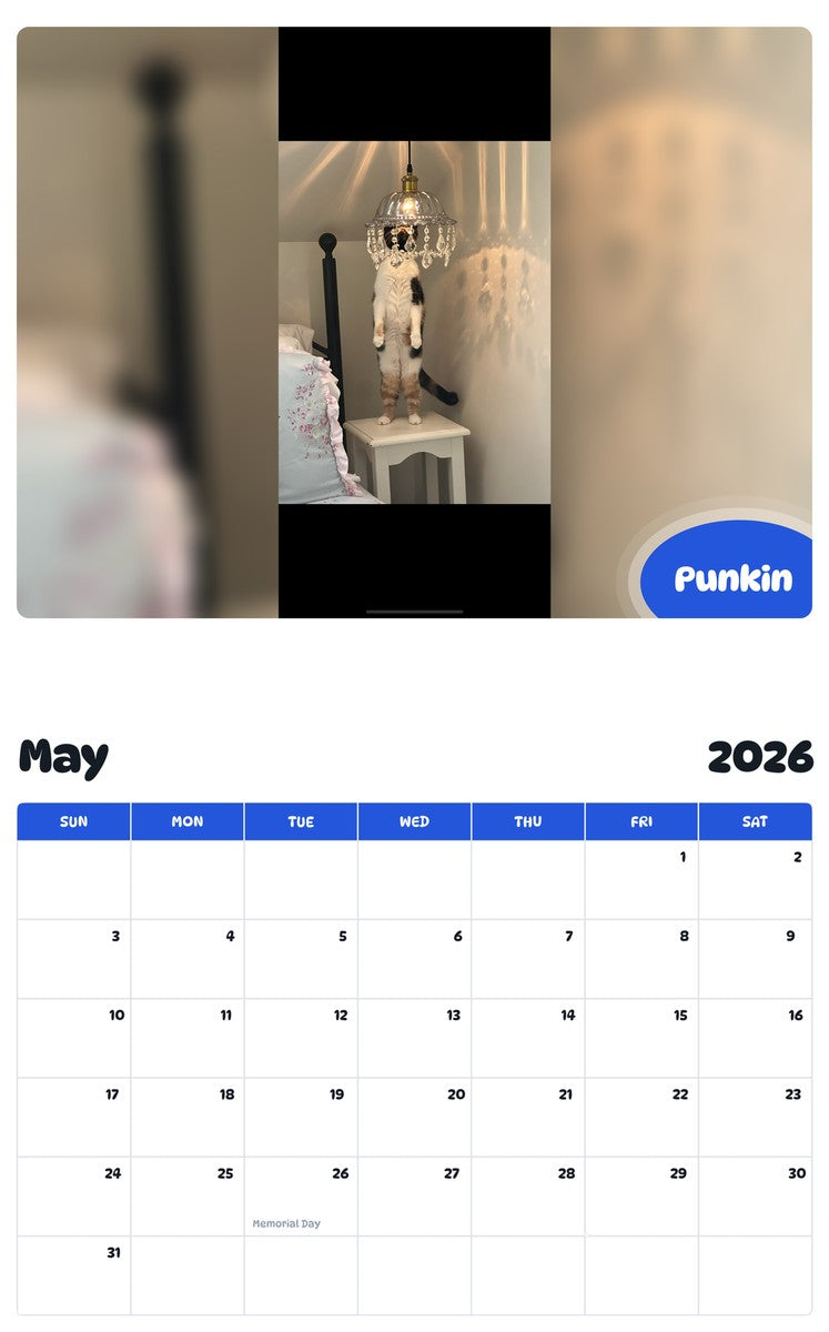 2026 - 2027 Punkin - Pawidols Pet Calendar