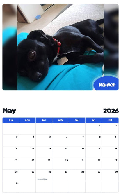 2026 - 2027 Raider - Pawidols Pet Calendar