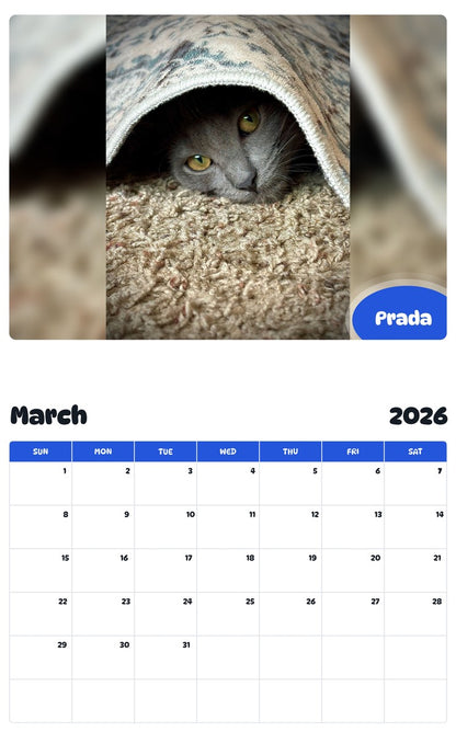 November 2025 - October 2026 Prada - Pawidols Pet Calendar