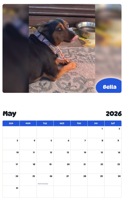 2026 - 2027 Bella - Pawidols Pet Calendar