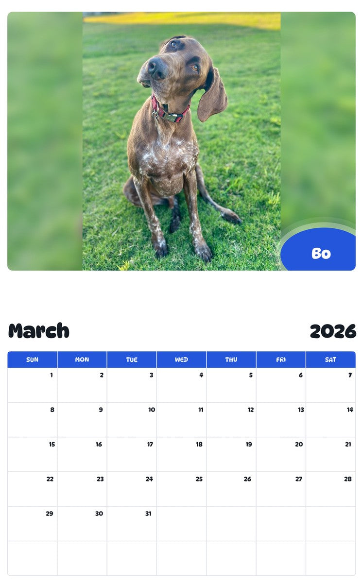 November 2025 - October 2026 Bo - Pawidols Pet Calendar