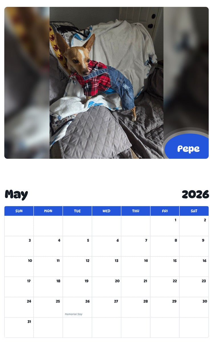 2026 - 2027 Pepe - Pawidols Pet Calendar