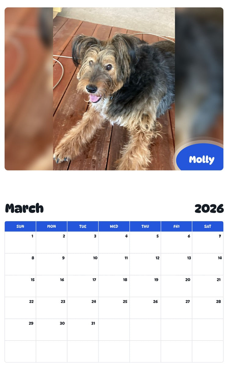 November 2025 - October 2026 Molly - Pawidols Pet Calendar