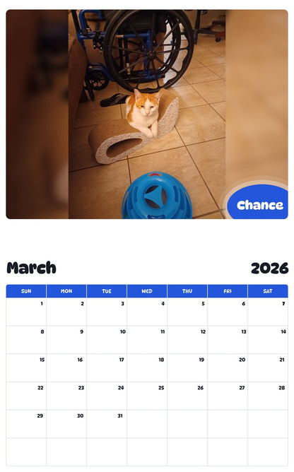 November 2025 - October 2026 Chance - Pawidols Pet Calendar