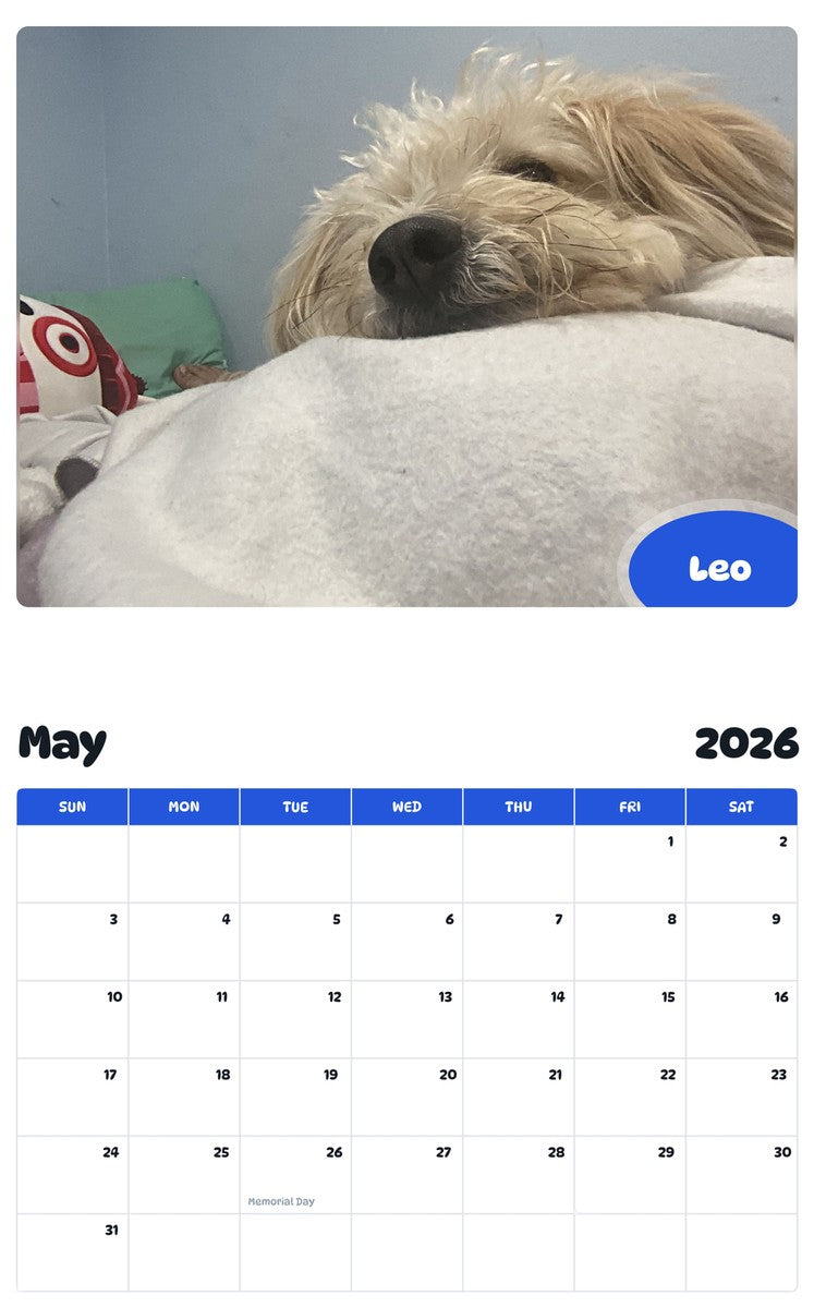 2026 - 2027 Leo - Pawidols Pet Calendar