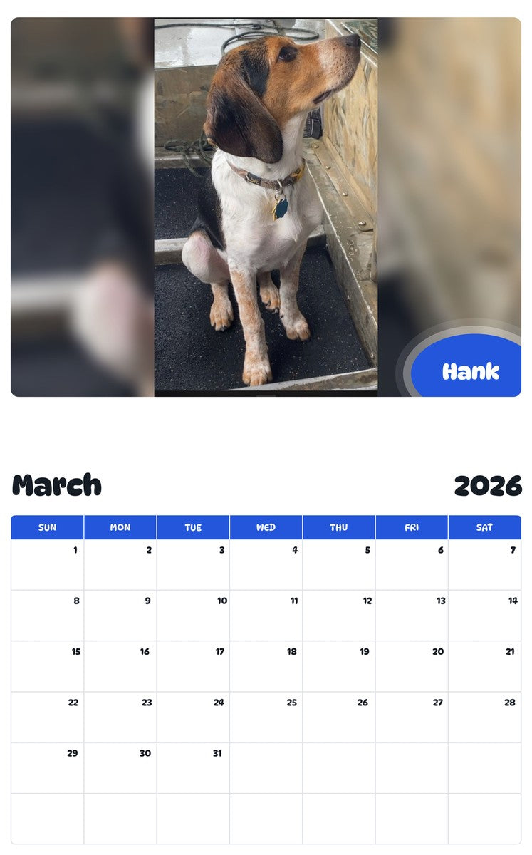 November 2025 - October 2026 Hank - Pawidols Pet Calendar