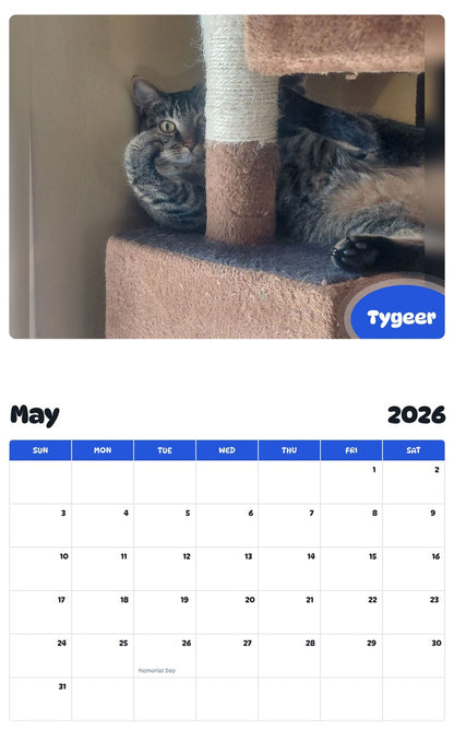 2026 - 2027 Tygeer - Pawidols Pet Calendar