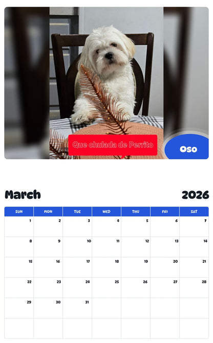 November 2025 - October 2026 Oso - Pawidols Pet Calendar