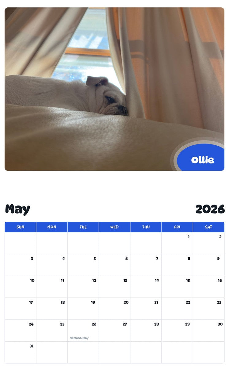 2026 - 2027 Ollie - Pawidols Pet Calendar