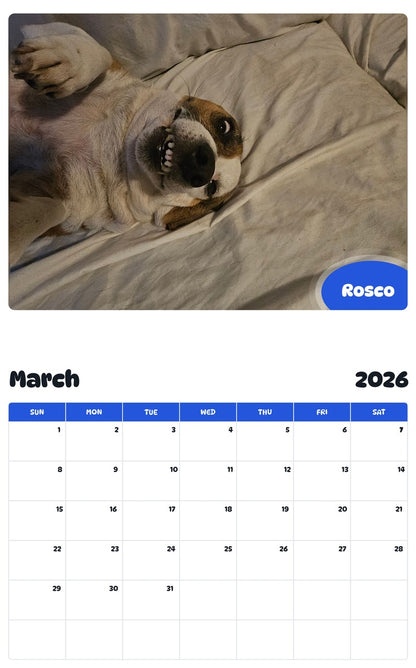 November 2025 - October 2026 Rosco - Pawidols Pet Calendar