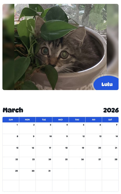November 2025 - October 2026 Lulu - Pawidols Pet Calendar