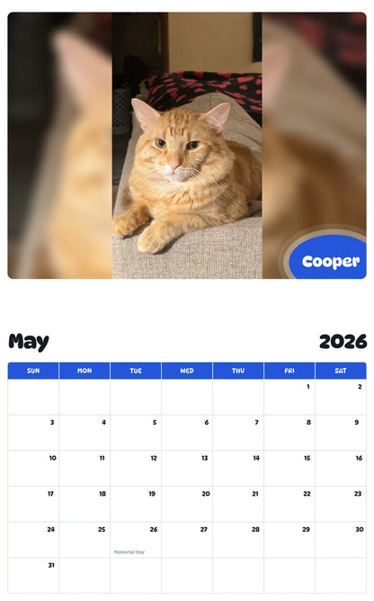2026 - 2027 Cooper - Pawidols Pet Calendar