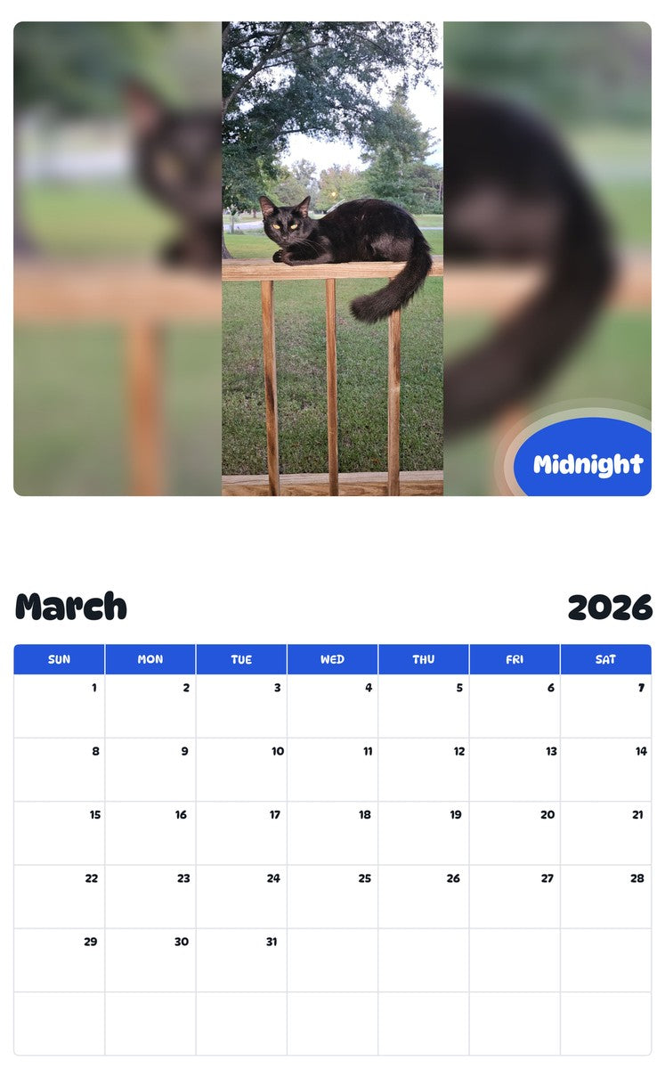 November 2025 - October 2026 Midnight - Pawidols Pet Calendar