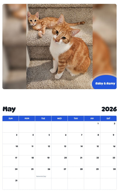 2026 - 2027 Baby & Remy - Pawidols Pet Calendar
