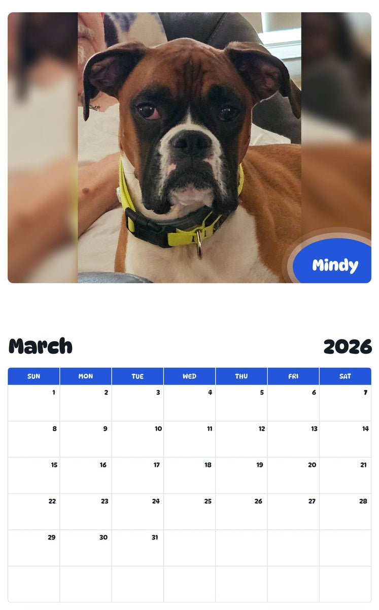 November 2025 - October 2026 Mindy - Pawidols Pet Calendar