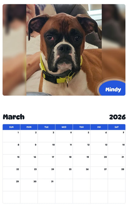 November 2025 - October 2026 Mindy - Pawidols Pet Calendar