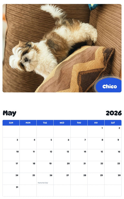 2026 - 2027 Chico - Pawidols Pet Calendar