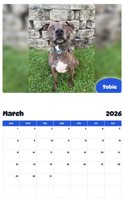 November 2025 - October 2026 Tobie - Pawidols Pet Calendar