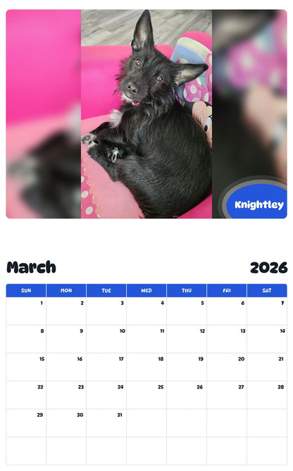 November 2025 - October 2026 Knightley - Pawidols Pet Calendar