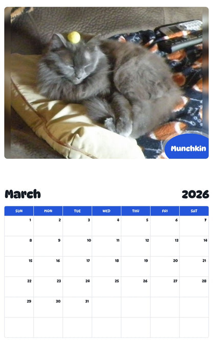 November 2025 - October 2026 Munchkin - Pawidols Pet Calendar