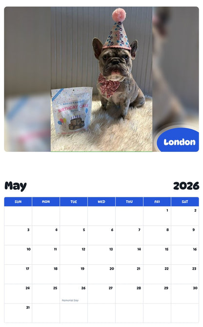 2026 - 2027 London - Pawidols Pet Calendar