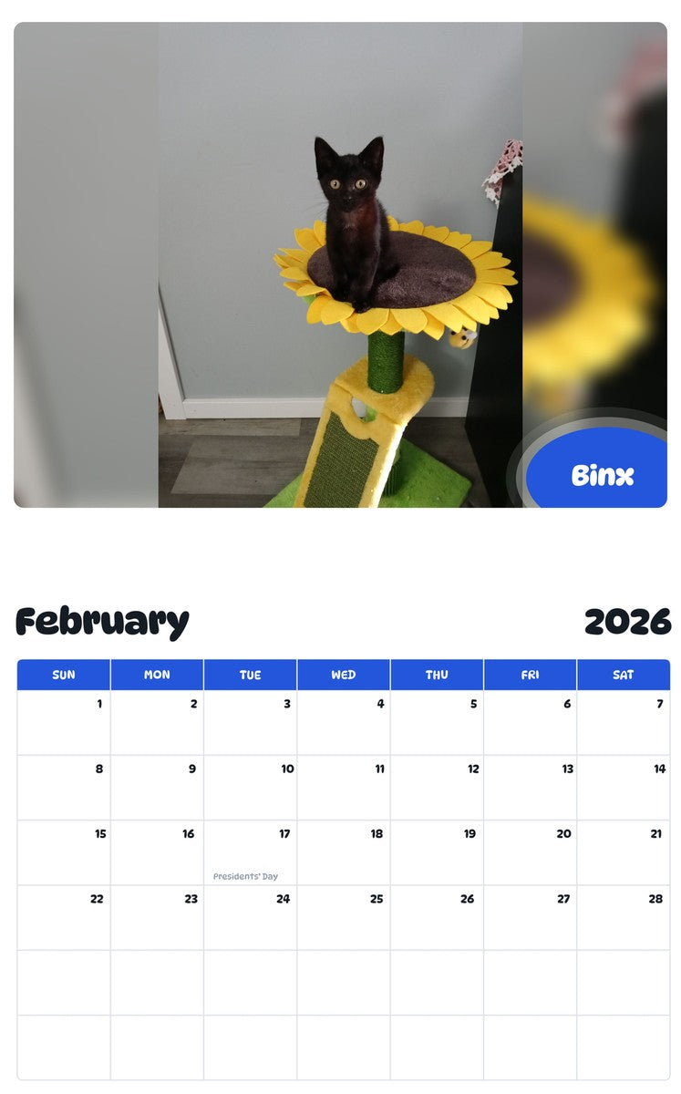 October 2025 - September 2026 Binx - Pawidols Pet Calendar