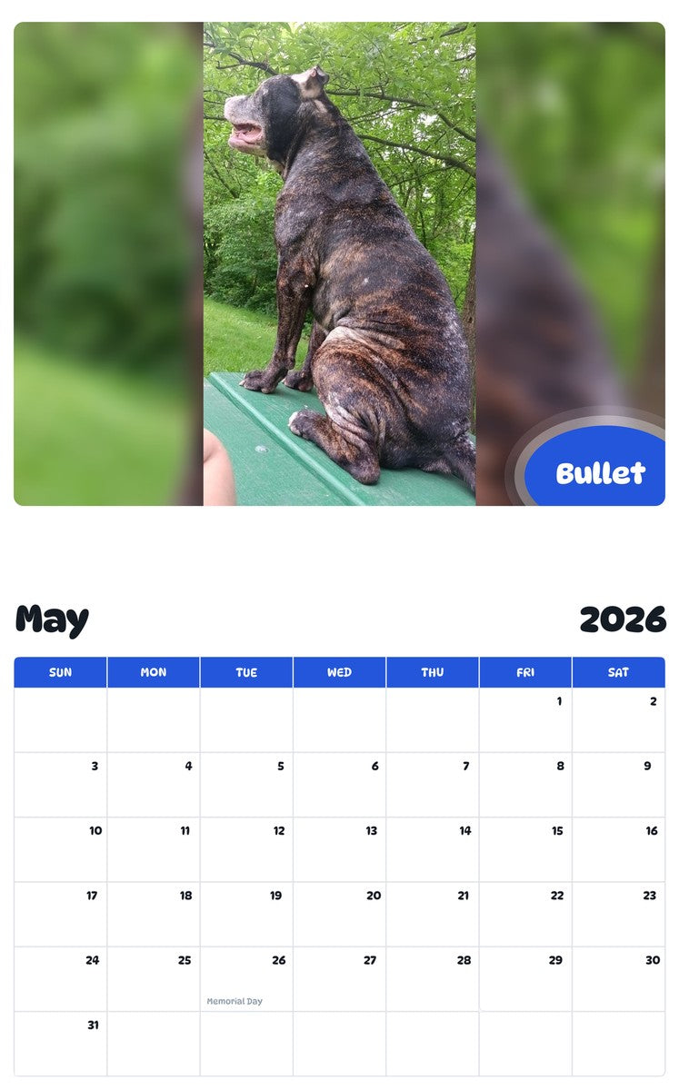 2026 - 2027 Bullet - Pawidols Pet Calendar