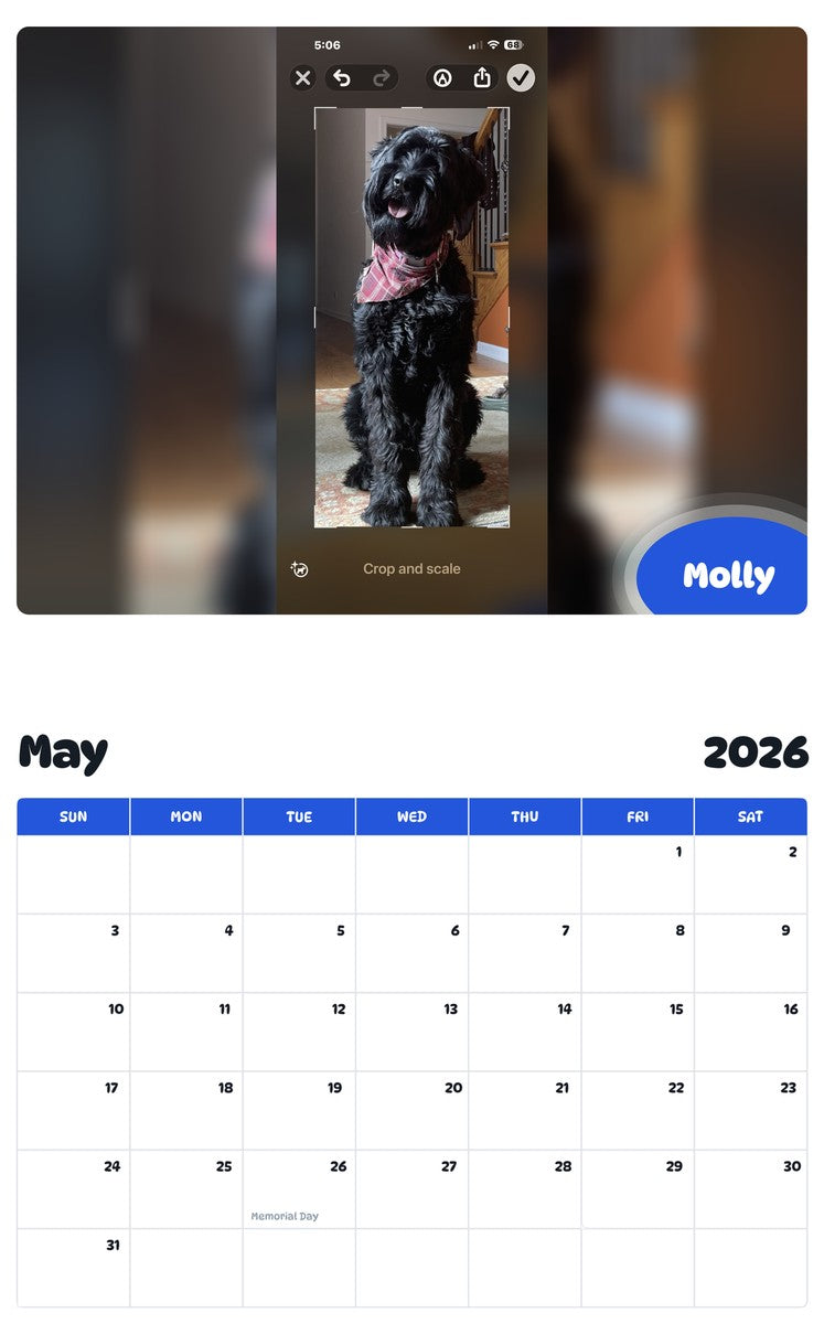 2026 - 2027 Molly - Pawidols Pet Calendar