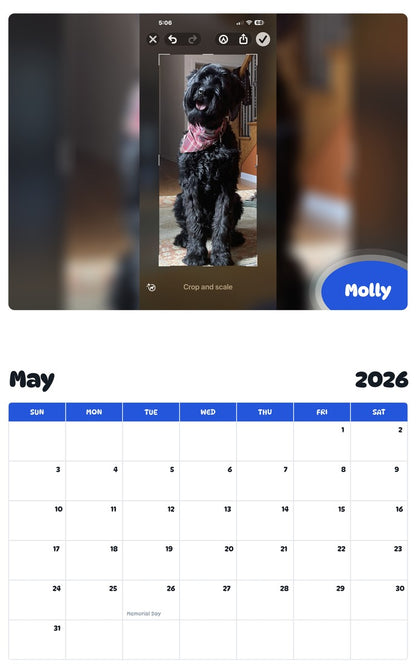 2026 - 2027 Molly - Pawidols Pet Calendar