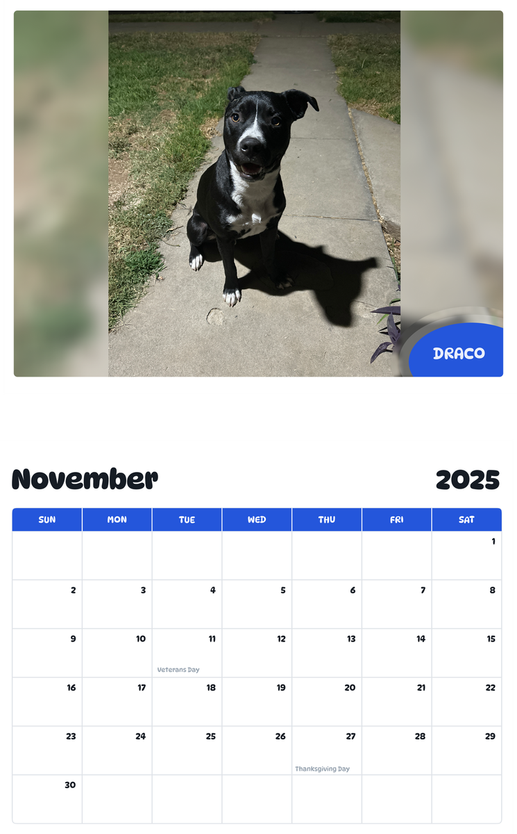 July 2025 - June 2026 Draco - Pawidols Pet Calendar