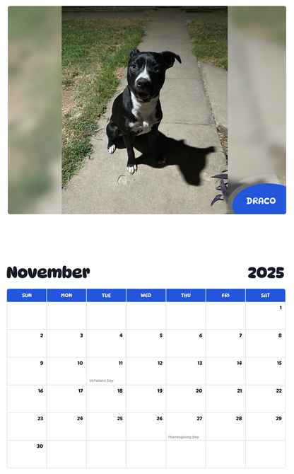 July 2025 - June 2026 Draco - Pawidols Pet Calendar