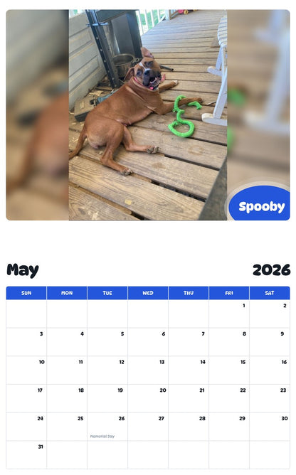 2026 - 2027 Spooby - Pawidols Pet Calendar