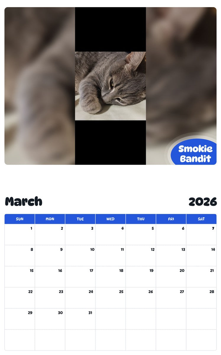 November 2025 - October 2026 Smokie Bandit - Pawidols Pet Calendar