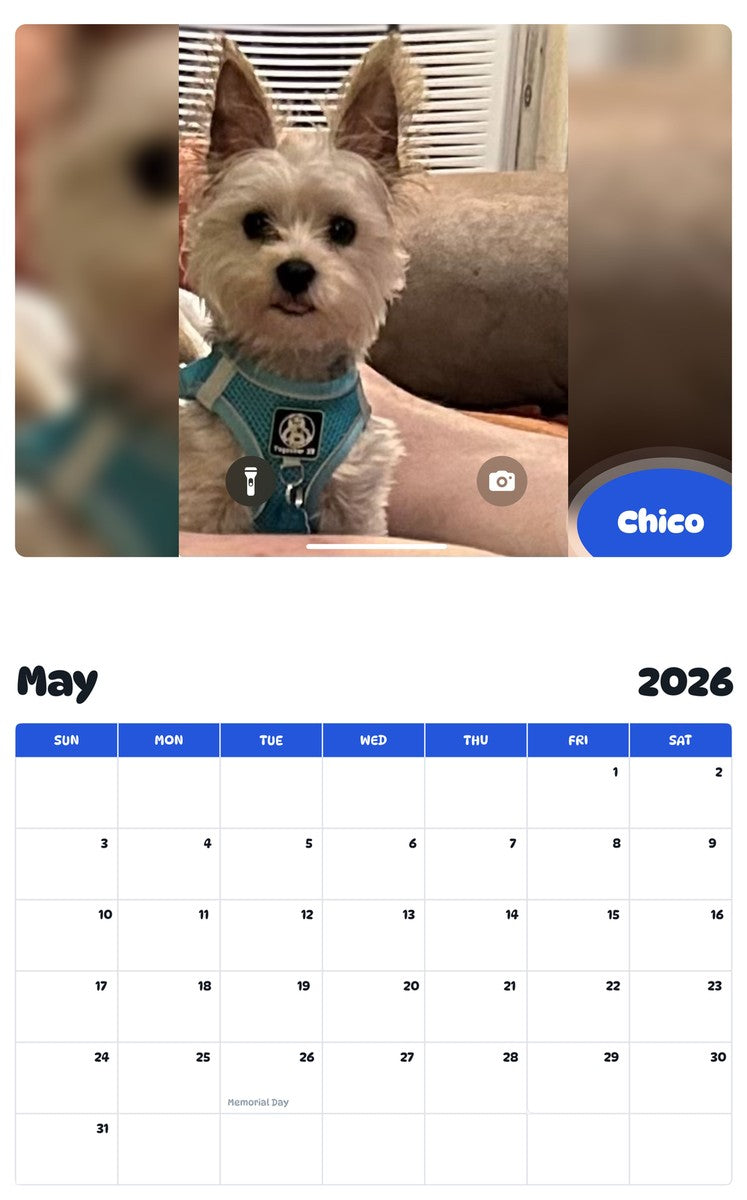 2026 - 2027 Chico - Pawidols Pet Calendar