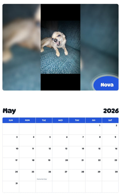 2026 - 2027 Nova - Pawidols Pet Calendar