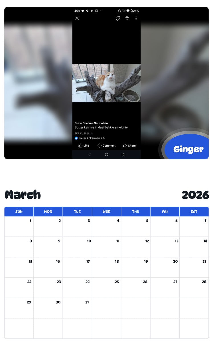November 2025 - October 2026 Ginger - Pawidols Pet Calendar