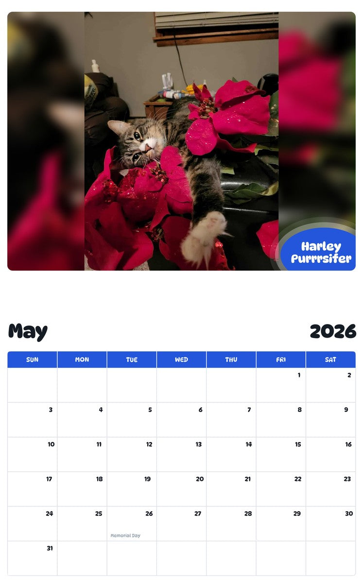 2026 - 2027 Harley Purrrsifer - Pawidols Pet Calendar