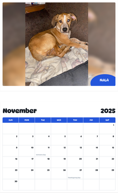 July 2025 - June 2026 Nala - Pawidols Pet Calendar