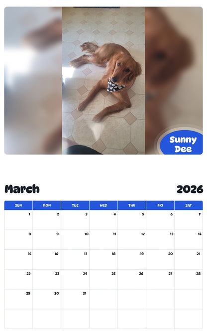 November 2025 - October 2026 Sunny Dee - Pawidols Pet Calendar